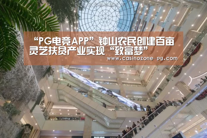 “PG电竞APP”钟山农民创建百亩灵芝扶贫产业实现“致富梦”(图2) PG电竞APP