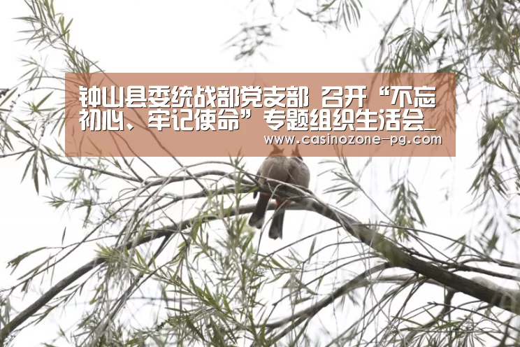 钟山县委统战部党支部 召开“不忘初心、牢记使命”专题组织生活会_PG赛事(图2) PG亚洲体育