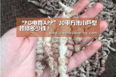 “PG电竞APP”30平方米小户型装修多少钱?(图1) PG亚洲体育